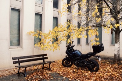 PROTO Collective photograph 3