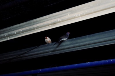 PROTO Collective photograph 1